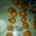 Cooksnap dari Siti Nur R untuk resep Bola ubi kopong (3 bahan)