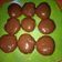 Cooksnap dari siska untuk resep Donat tanpa kentang lembutt
