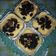Cooksnap dari roro alvat untuk resep Bolu kukus mekar, irit simple, no soda no sprite no susu