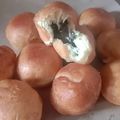 Cooksnap dari Mutiara Cantik untuk resep Donat Empuk tanpa Kentang