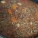 El cooksnap de Anto Saracho cuando hizo Guiso de lentejas vegano / vegetariano.