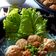 Cooksnap dari arisanti untuk resep Bakso Urat