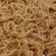 Bhakti 1197's cooksnap of when they made પામેઝાન ચીઝ મેગી (parmesan Magee recipe in Gujarati).