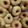 Cooksnap dari Ana untuk resep Donut