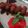NehaL Jain's cooksnap of when they made Akhrot Kabab / Walnut Kabab.