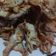 Cooksnap dari Fabiola Florence untuk resep Ikan Asin Goreng Tepung