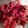 If Yan can cook so can you's cooksnap of when they made Roasted Beet and Apple Salad.