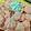 El cooksnap de Juliet's Sweet Creations cuando hizo Merenguitos de colores.