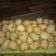Cooksnap dari Ayu Rahayu untuk resep Pempek Adaan