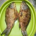 Cooksnap dari Ebi Habibah untuk resep Ikan Mas Goreng (Bumbu Kuning)