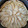 El cooksnap de Lorena Moya cuando hizo Tarta de manzana con masa quebrada.