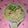 Jagruti Chauhan's cooksnap of when they made પૌવા બટેટા (Poha Bateta Recipe in Gujarati).