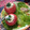El cooksnap de Sindy Manríquez cuando hizo Tomates rellenos.