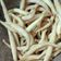 Cooksnap dari Derofiez Hana Ruhyadin untuk resep Stik keju renyah