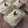 Cooksnap dari Daniar untuk resep Setup Roti Tawar Pandan Keju