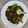 Shaiq Gulzar's cooksnap of when they made Alo palak.