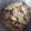 স্বর্নাক্ষী চ্যাটার্জি 's cooksnap of when they made চাল পটল (Chal Potol recipe in Bengali).