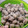 Cooksnap dari Zahra Zazkia untuk resep Bakso Sapi Homemade (Blender)