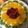 El cooksnap de Naty Cendra cuando hizo Tarta de frutillas y kiwi.