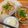 Cooksnap của SeleneJang 🌙 khi họ làm theo món Canh Khoai Tây Cà Rốt Hầm Xương