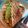 El cooksnap de Elizabeth cuando hizo Tacos rellenos con salsa guacamole.