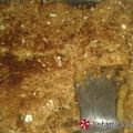 Cooksnap από teabas στη συνταγή Apple crumble