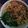 Cooksnap dari Dayanie untuk resep Mie ayam homemade