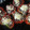 El cooksnap de claupiatti2009 cuando hizo Pimientos o morrones rellenos con carne.