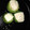 El cooksnap de celestecastillon cuando hizo Zapallitos rellenos.