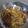 Cooksnap dari Maslinah Mardiyoto untuk resep Japchae (Tumis Soun Ala Korea)