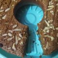 Cooksnap dari Peggy Valentina untuk resep Bolu Spekuk Gula Aren