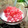 Cooksnap dari Laely Is untuk resep Bubur Sagu Mutiara