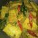 Cooksnap dari Janneta untuk resep Tahu Toge Bumbu Kuning