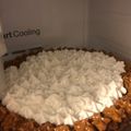 El cooksnap de Carol cuando hizo Brownies fáciles y rápidos.
