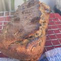 El cooksnap de Paula Aparicio cuando hizo Pan de Nuez saludable 🍞.