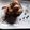 Geeta Godhiwala's cooksnap of when they made Milk Chocolate ice-cream.