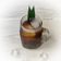 Cooksnap dari Ratna Puspita untuk resep Kopi Pandan Gula Aren