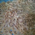 El cooksnap de Karen Vazquez cuando hizo Masa para tallarines al morrón.