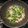 รูป Cooksnap ของ Chanin Leo Han เมื่อเขาทำ บร็อคโคลี่ผัดกระเทียม