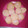 El cooksnap de AngieDau cuando hizo Galletitas caseras muy fáciles y rápidas.