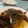 Cooksnap dari Bunga Puspita Sari untuk resep Beef Blackpepper Ricebowl ala Yoshinoya