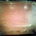 Diamond L's cooksnap of when they made Easy Chocolate Frosting.