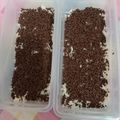 Cooksnap dari Sandra_rif untuk resep Pisang coklat keju (pisang raja)