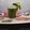 Jigna Patel's cooksnap of when they made આદુ ફુદીના લીંબુ શરબત.