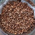 Cooksnap dari irma agustina untuk resep Kacang Telur Manis Gurih Renyah