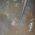 Cooksnap dari seli Litikansi untuk resep Soto Sulung Surabaya