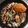Cooksnap dari Amanda Goenawan untuk resep Garlic Butter Crab