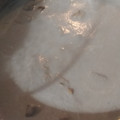 El cooksnap de Ibrahim Sánchez cuando hizo Crema de champiñón.