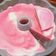 Cooksnap dari shamia yosevelin untuk resep Puding zebra