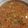 El cooksnap de Sady Carolina Ramos Wasmuth cuando hizo Soyo.